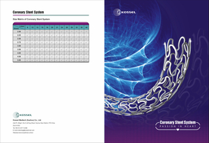 Coronary Stent System01.jpg